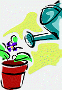 [Watering plant]