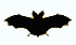 [Bat]