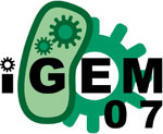 [iGEM logo]