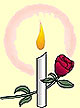 [Candle and rose]