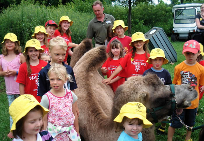 Camel and 'future grads' at Toronto zoo, July 25.
