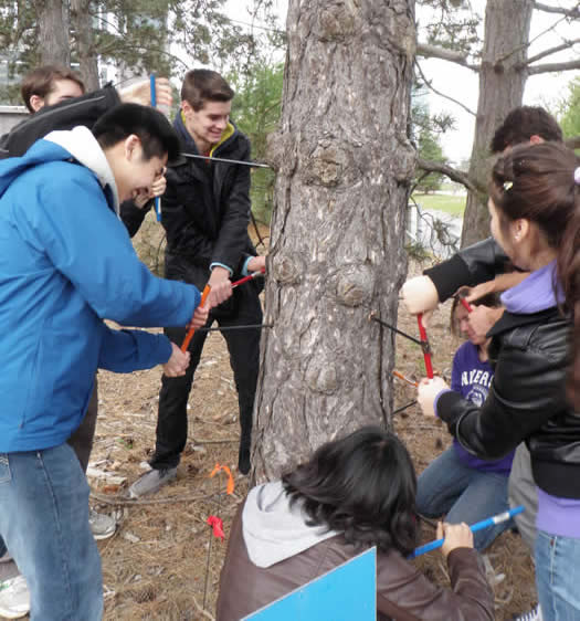 Students core a tree outside Hagey Hall.