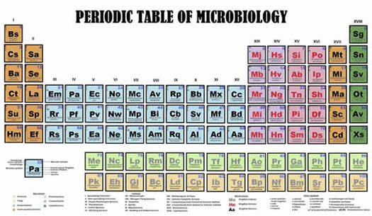 The Periodic Table of Microbiology