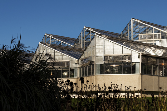 The Biology 1 greenhouse, photographed against a clear blue sky with plants in the foreground.