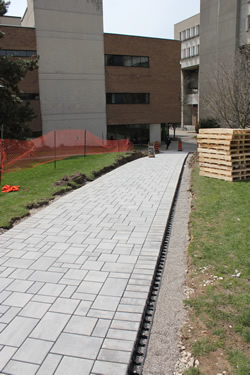 The new pathway, with MC in the background.