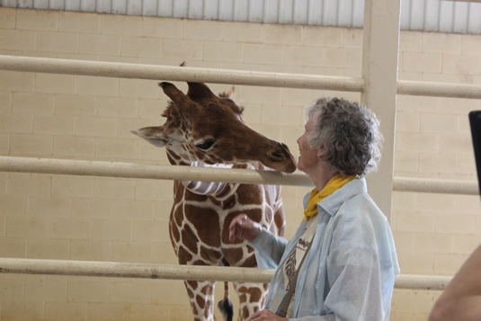 A giraffe and Professor Anne Innis Dagg share a moment.