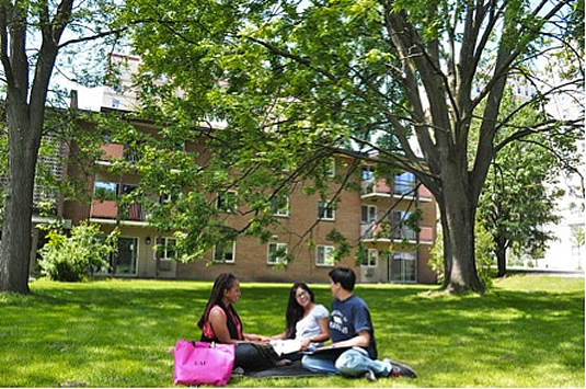 Students sit on a treed lawn in front of Waterloo Central Place.