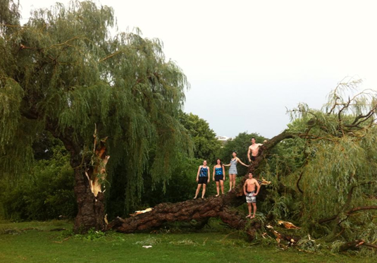 Students pose atop a downed Willow tree in the wake of July 19's big storm.