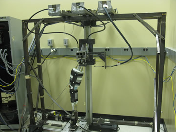 The knee injury simulator system.