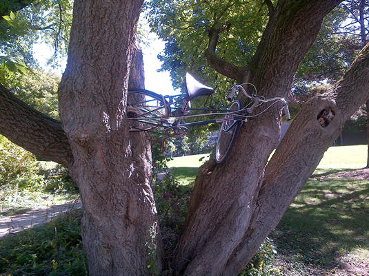A bicycle up a tree.
