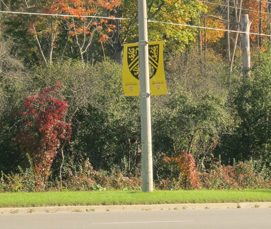 University of Waterloo banners flutter from a hydro pole.