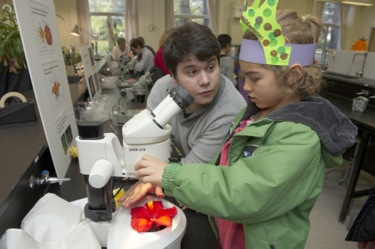 A child looks into a microscope at the Science Open House.
