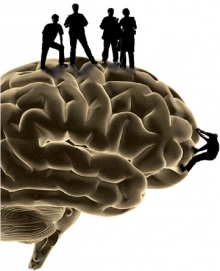 Silhouettes stand atop a large human brain.