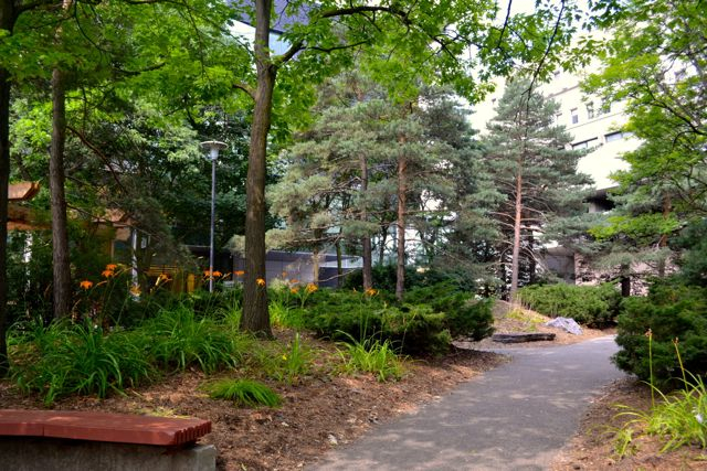 The Peter Russell Rock Garden.