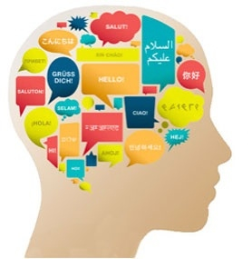 Language Learner poster showing the silhouette of a human brain with various parts labeled.